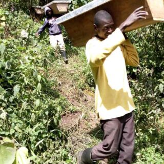 Honey-Hives-Bwindi